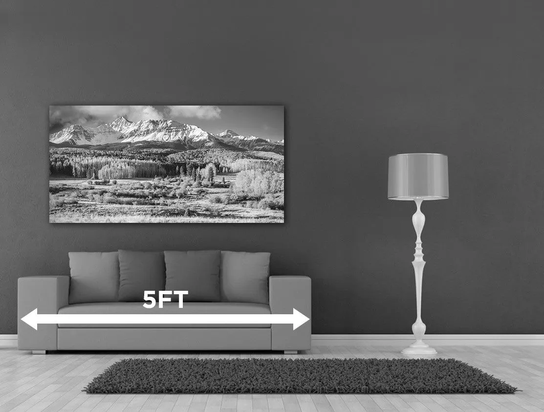24x48 Custom Canvas