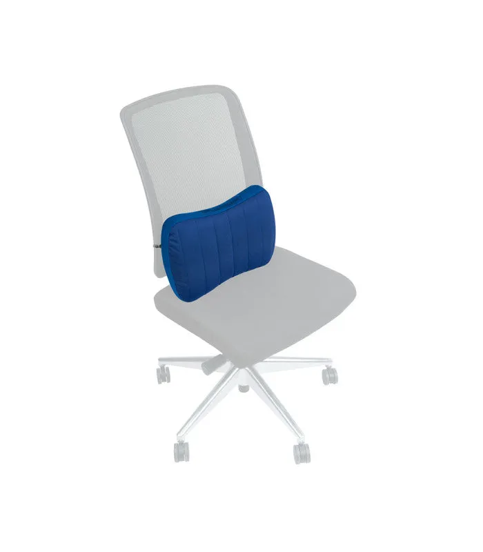 Aeros Premium Lumbar Support Pillow