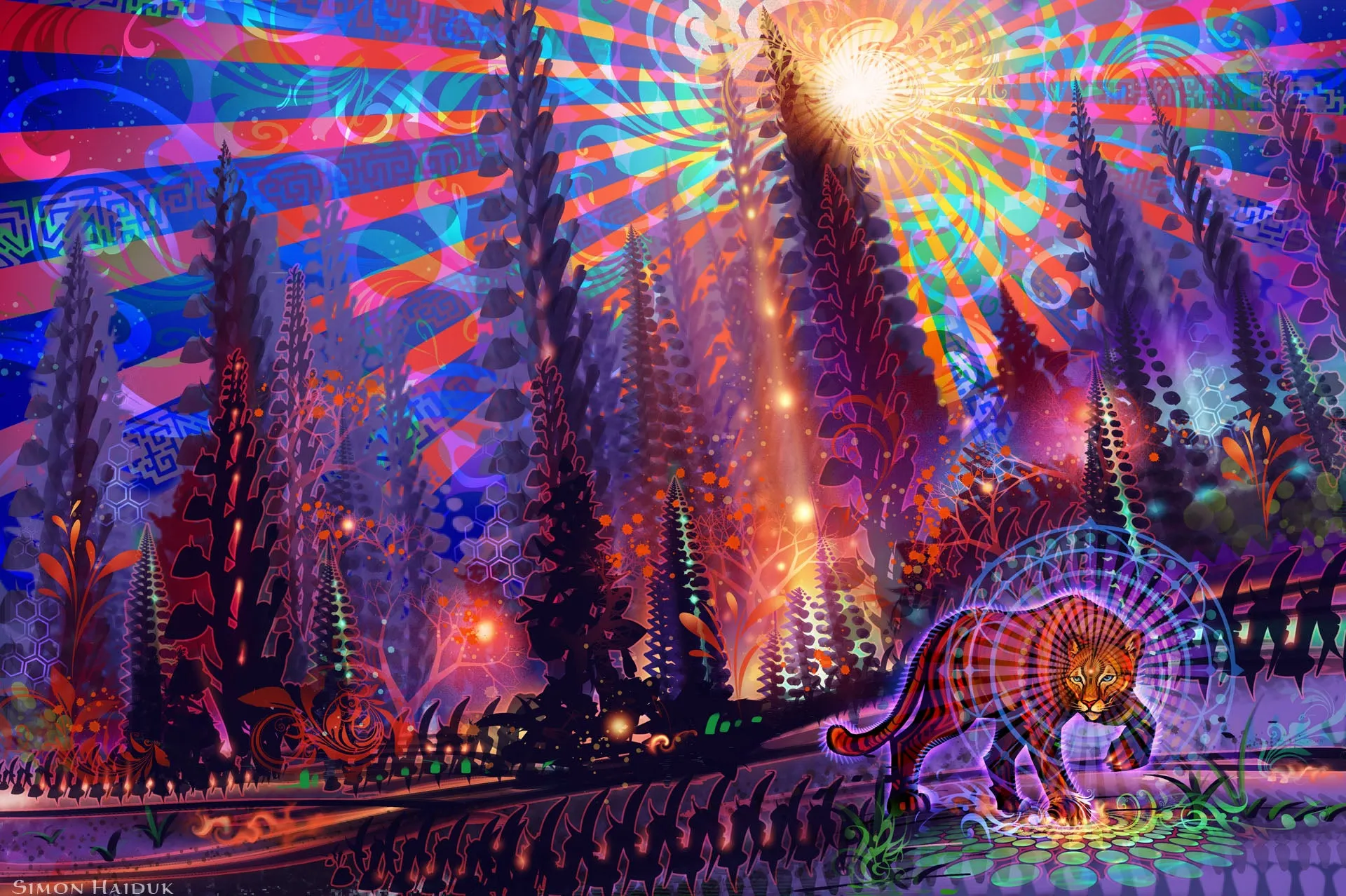 Anima Magica - Paper Prints
