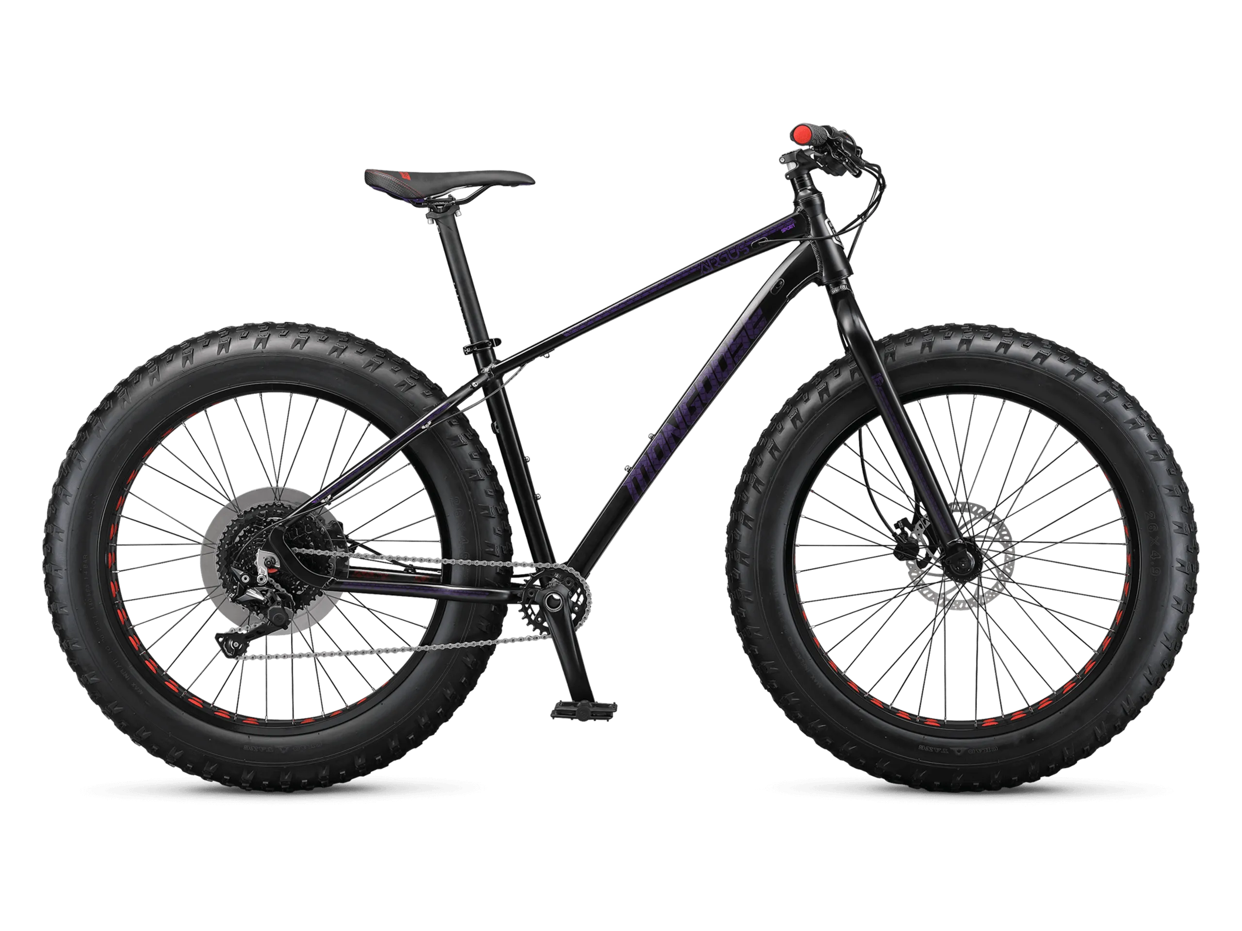 Argus Sport 26