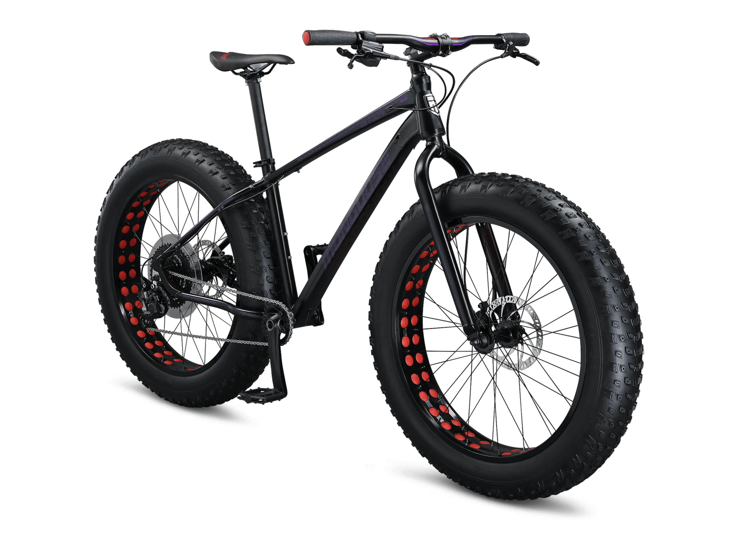 Argus Sport 26