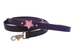 Breck Leather Dog Leash with Crystals on Side of Star
