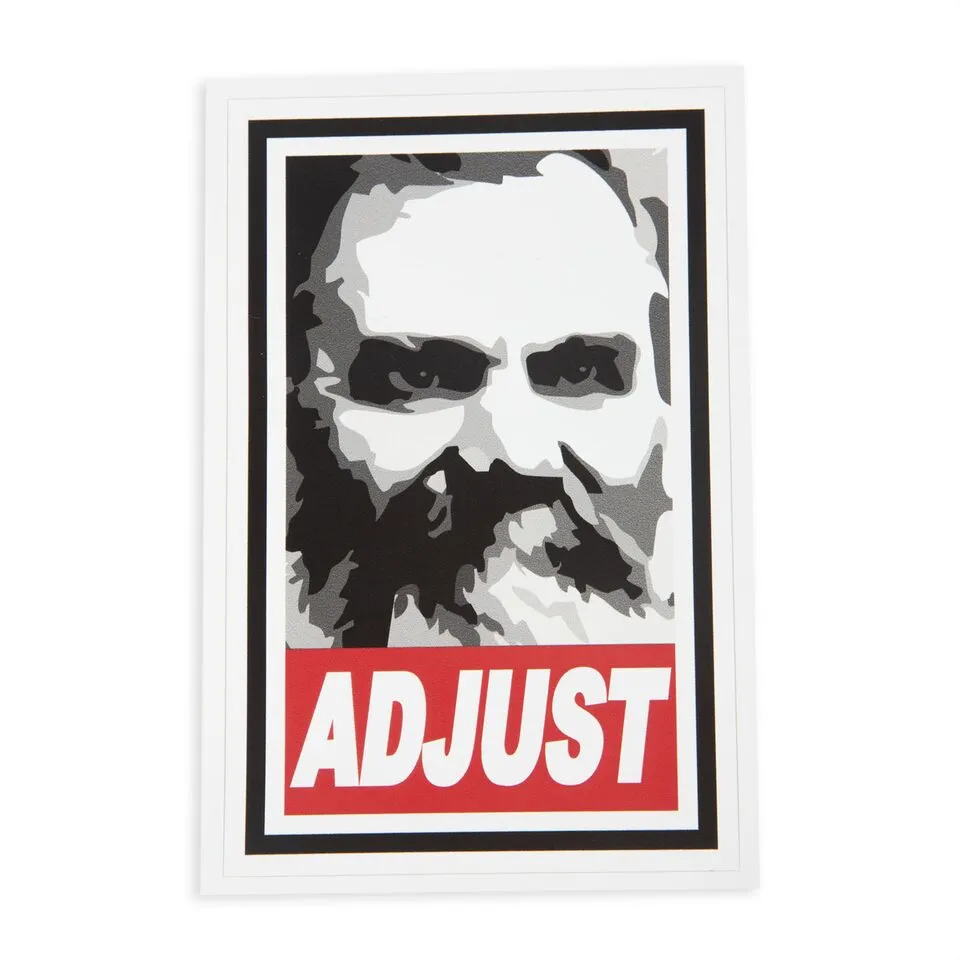 DD Palmer ADJUST - Sticker