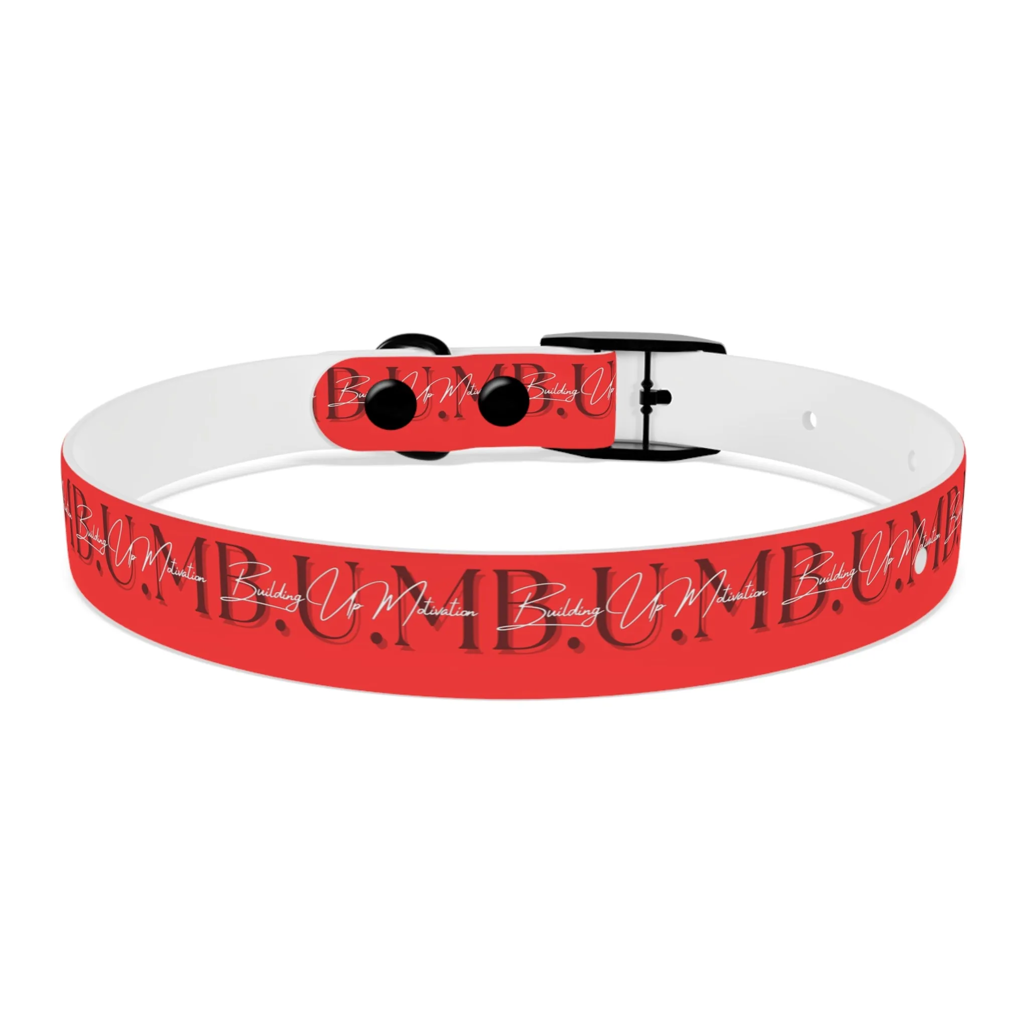 Dog Collar