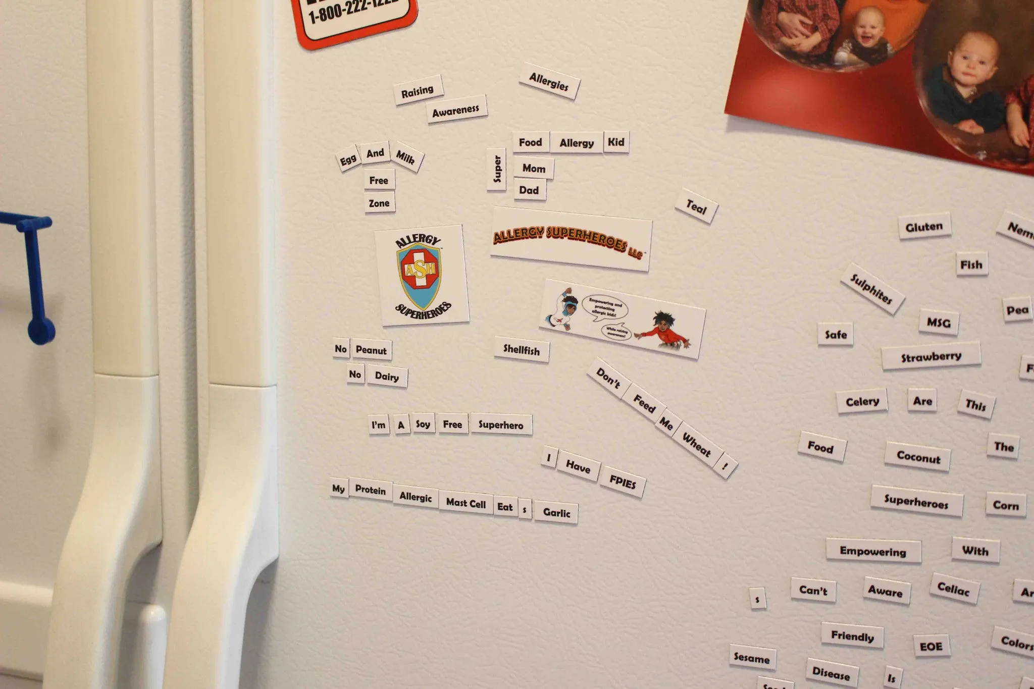 Food Allergy Magnetic Phrases