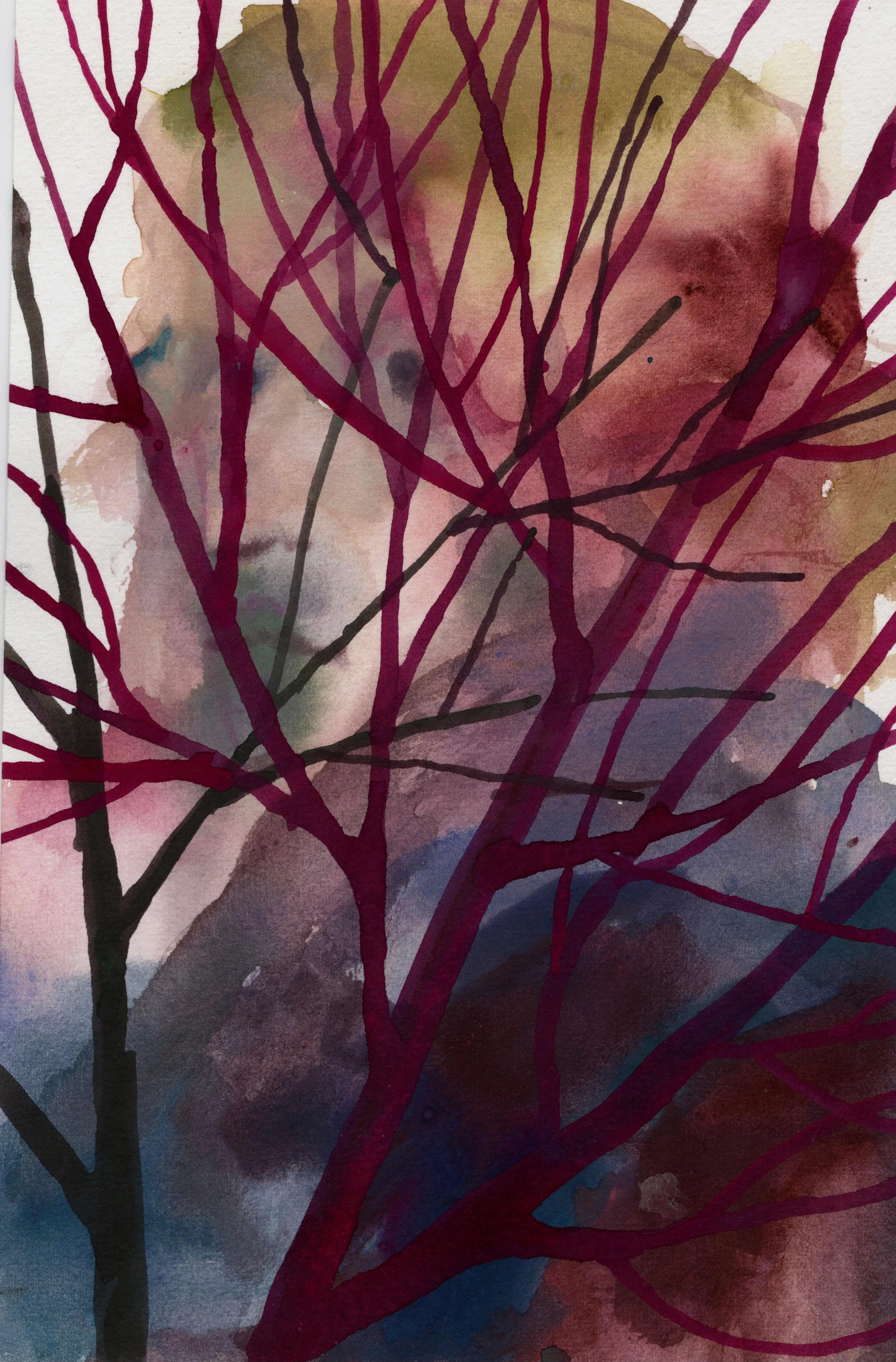 Hide