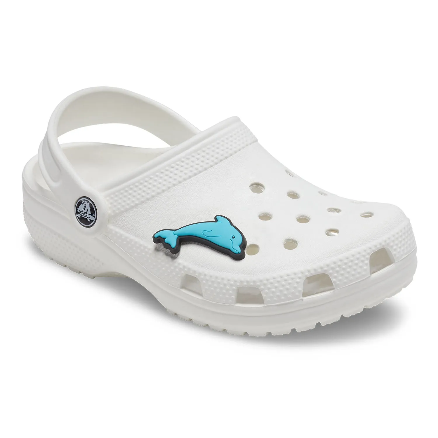 Kid Dolphin Jibbitz