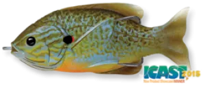 Livetarget Hallow Body Sunfish