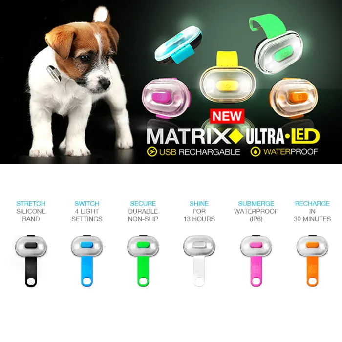 Max & Molly Matrix Ultra LED Harness/Collar Safety Light