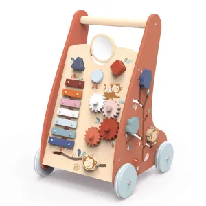 Multi Activity Push Toy - Activity Walker - 12M 