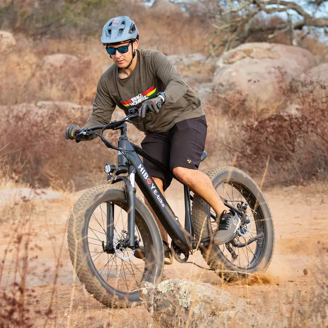 P6 Fat Tire Electric Bike