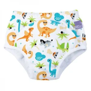 Potty Training Pants