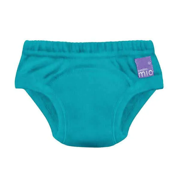 Potty Training Pants