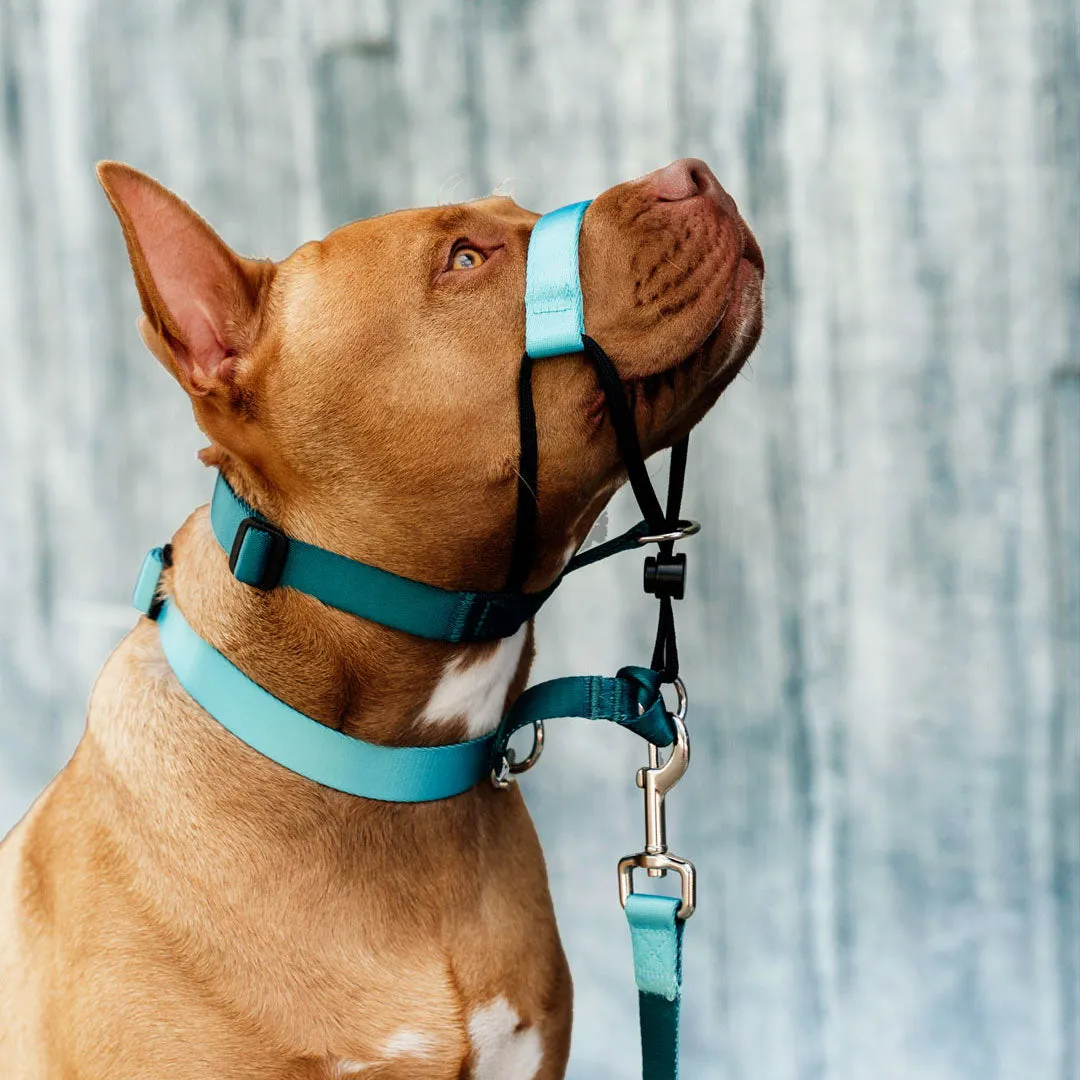 Quartz Halter    Safety Clip
