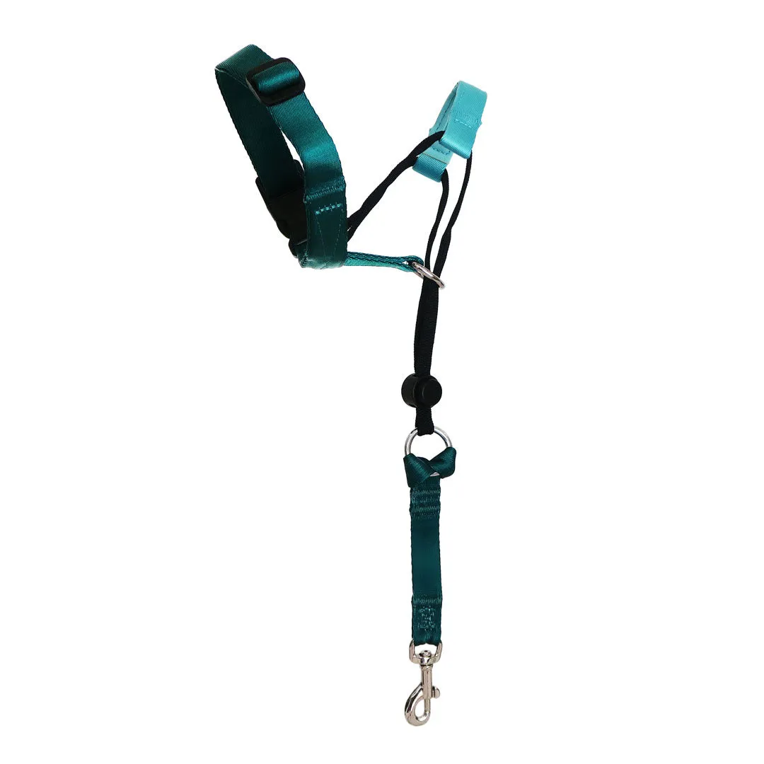 Quartz Halter    Safety Clip