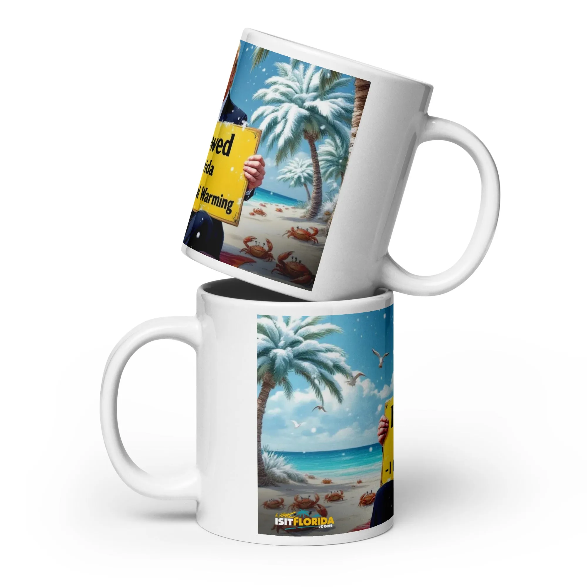 Snow In Florida | "I fixed Global Warming" Mug