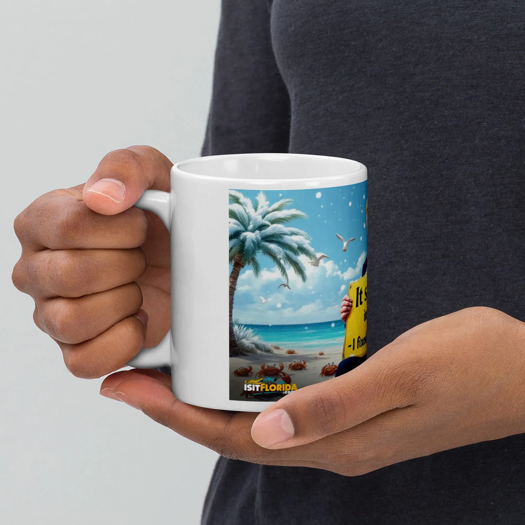 Snow In Florida | "I fixed Global Warming" Mug