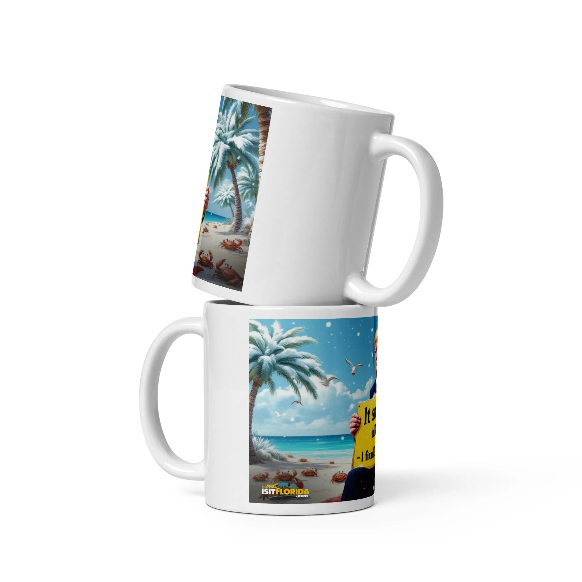 Snow In Florida | "I fixed Global Warming" Mug