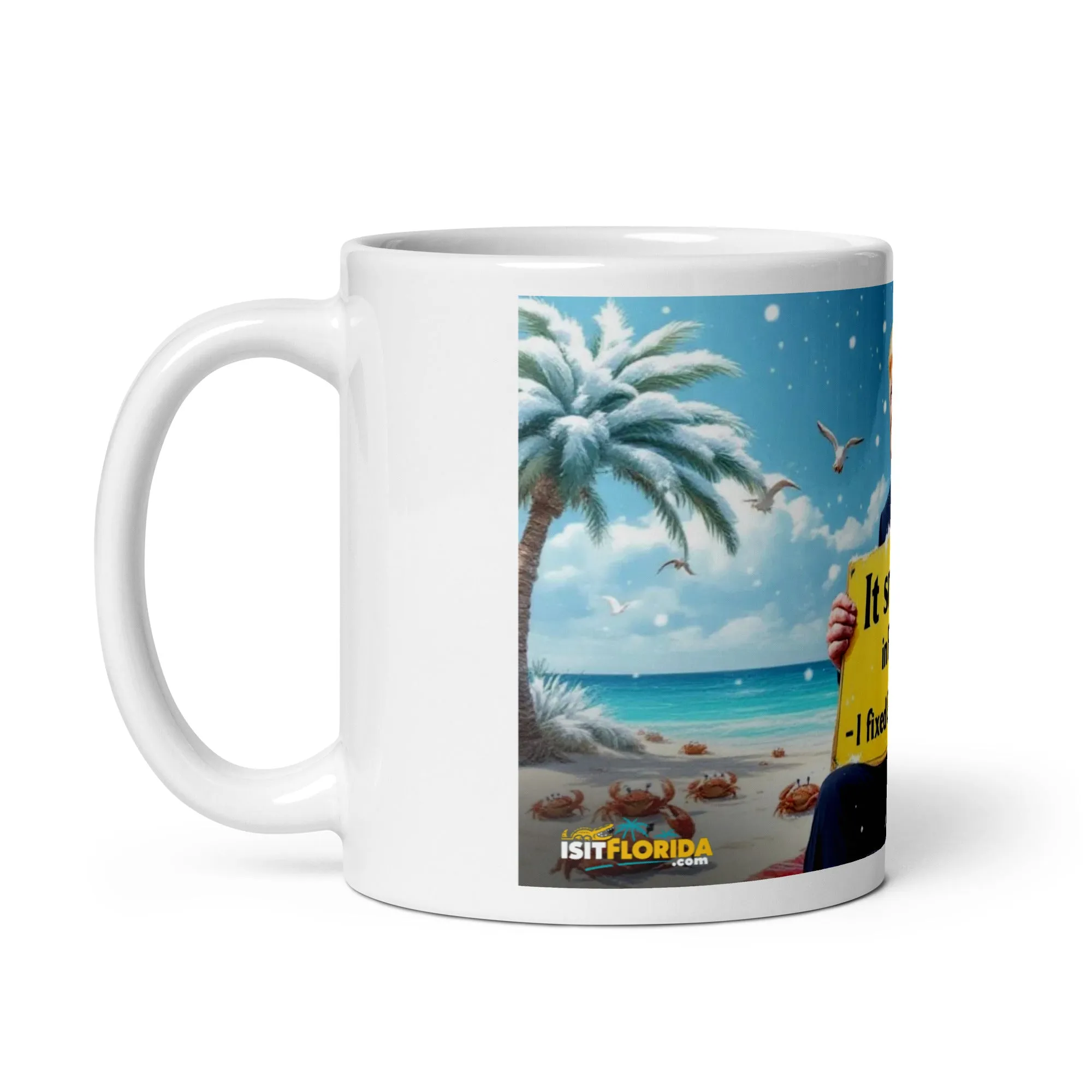 Snow In Florida | "I fixed Global Warming" Mug