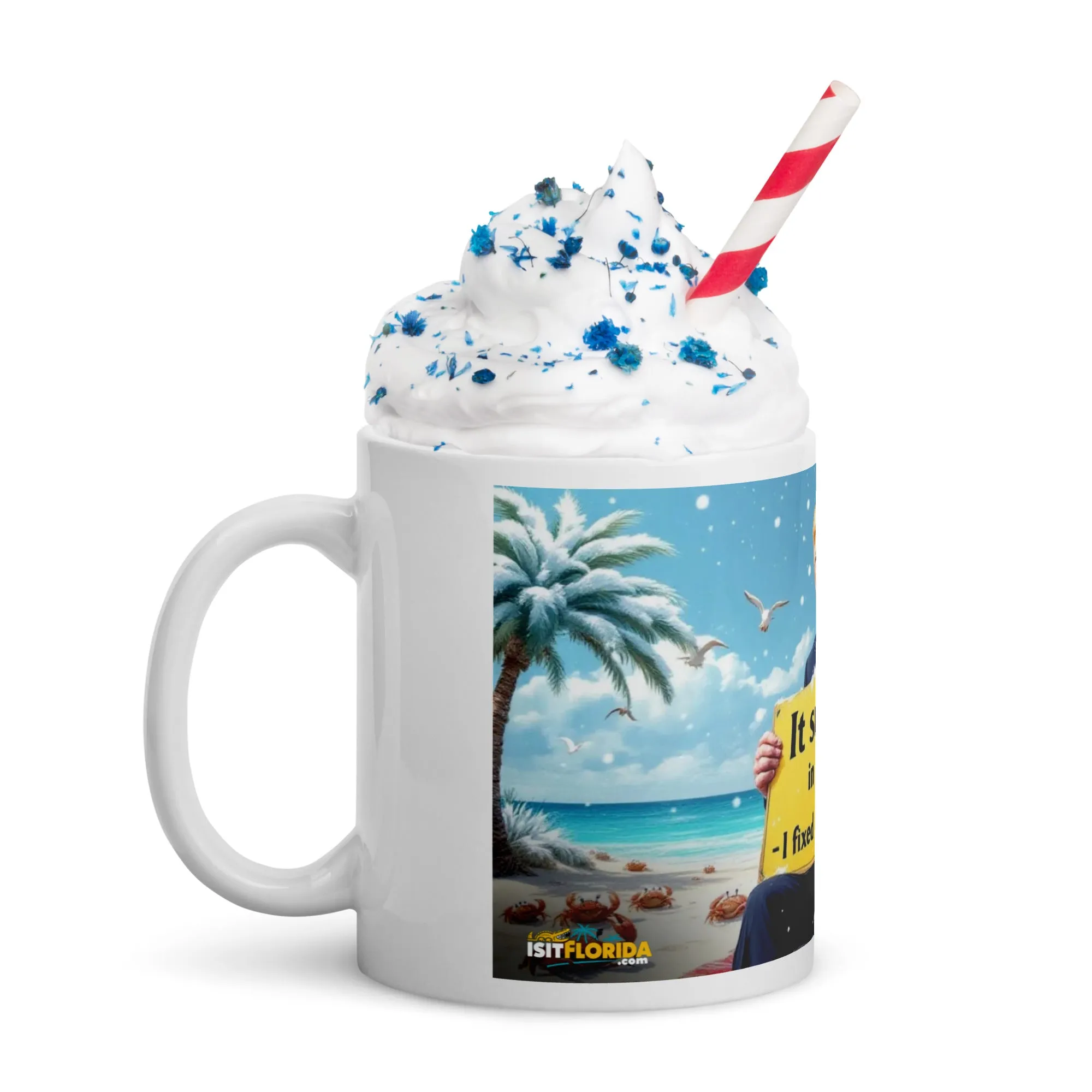 Snow In Florida | "I fixed Global Warming" Mug