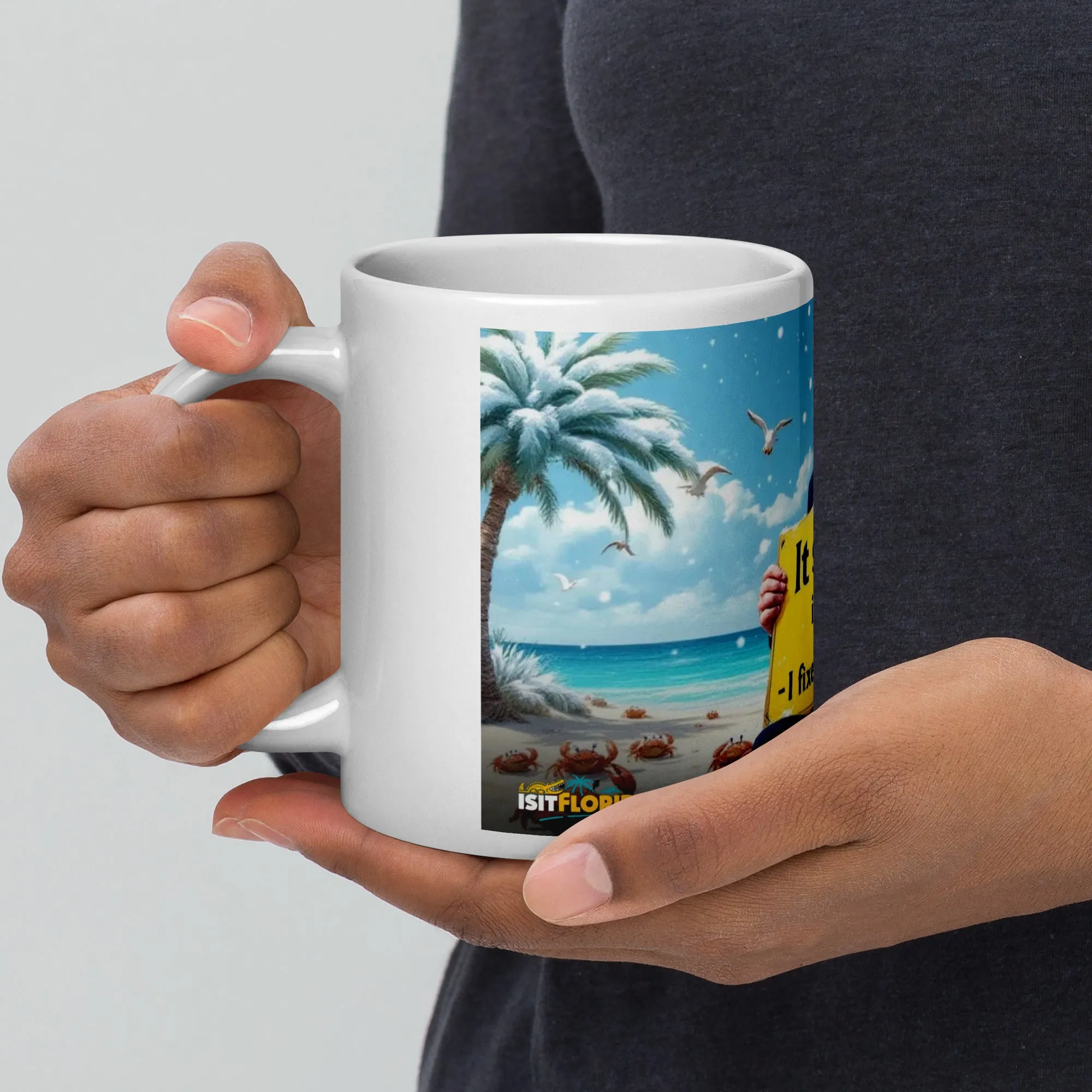 Snow In Florida | "I fixed Global Warming" Mug