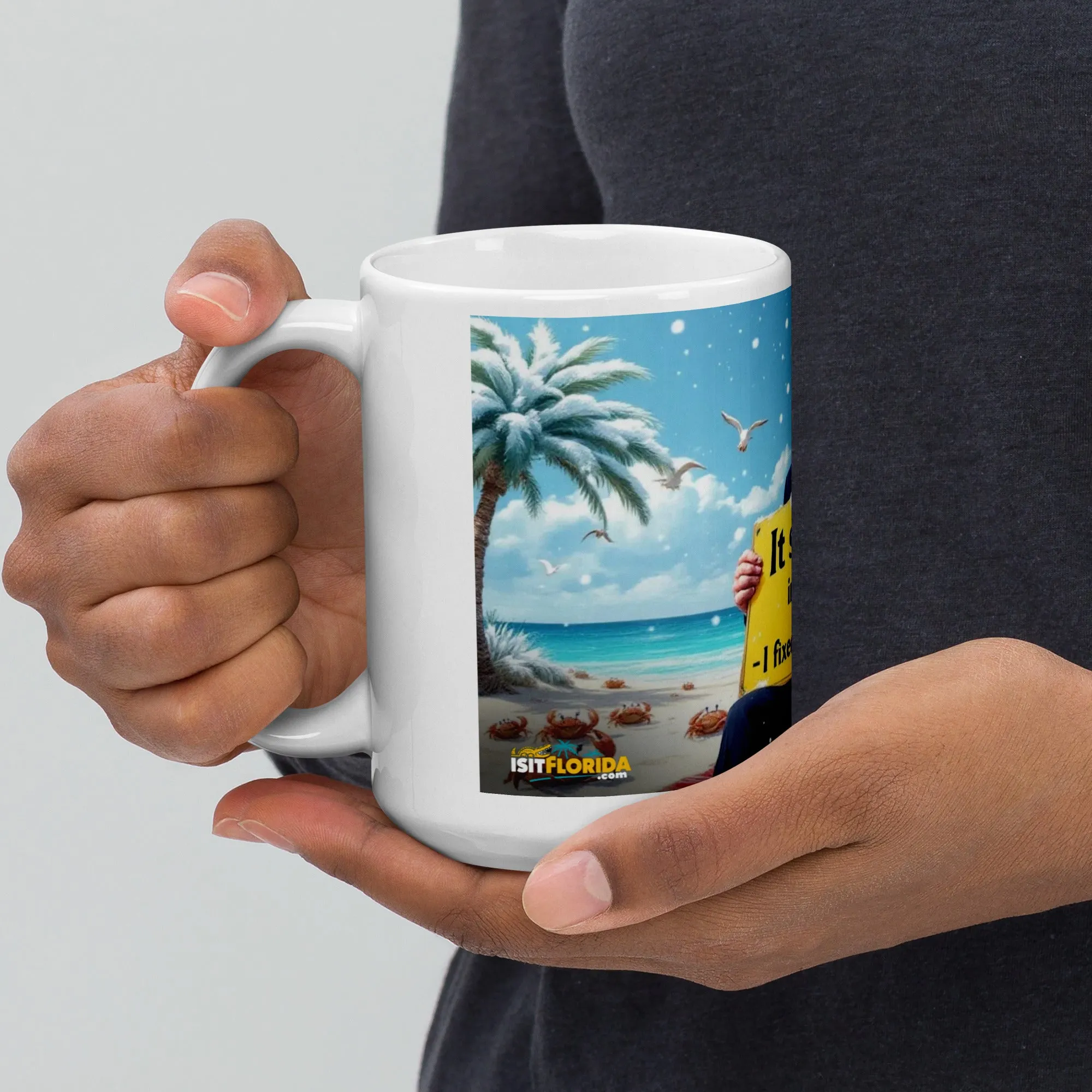 Snow In Florida | "I fixed Global Warming" Mug
