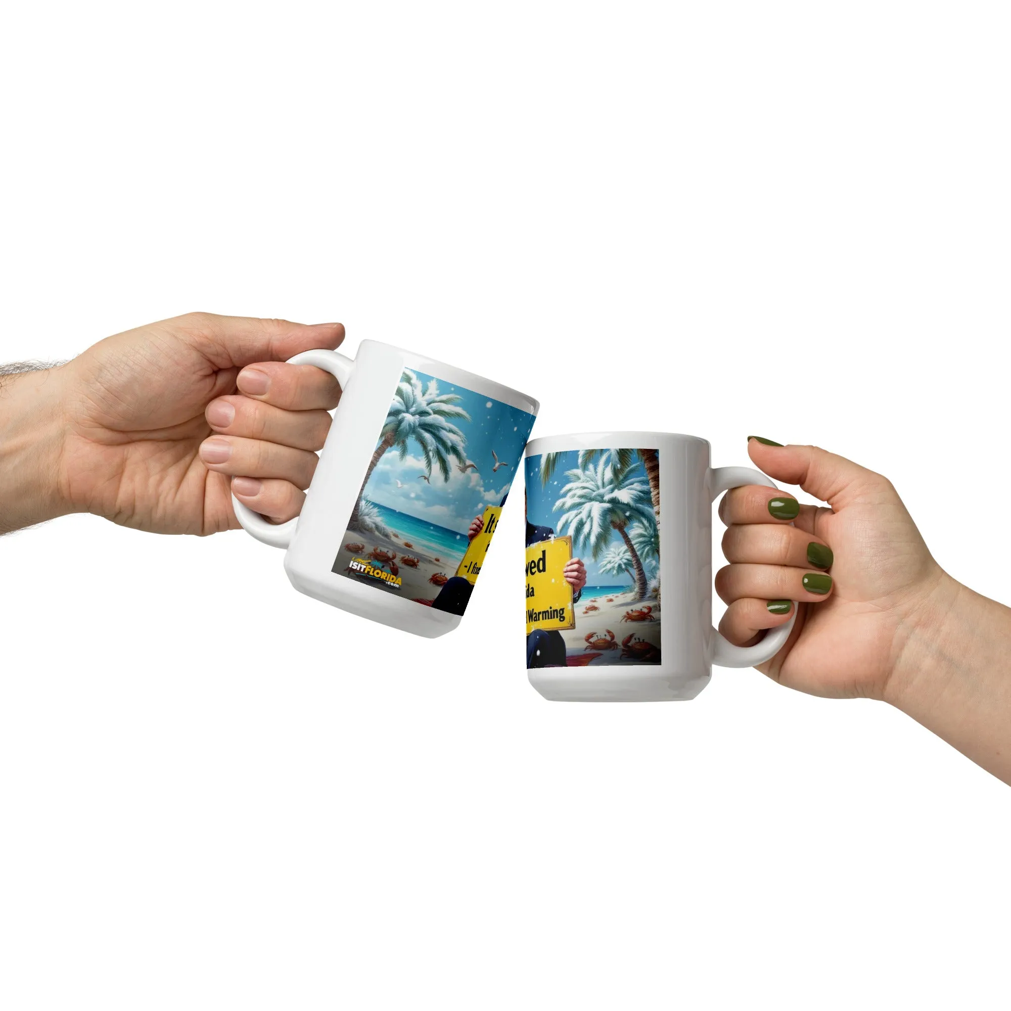 Snow In Florida | "I fixed Global Warming" Mug