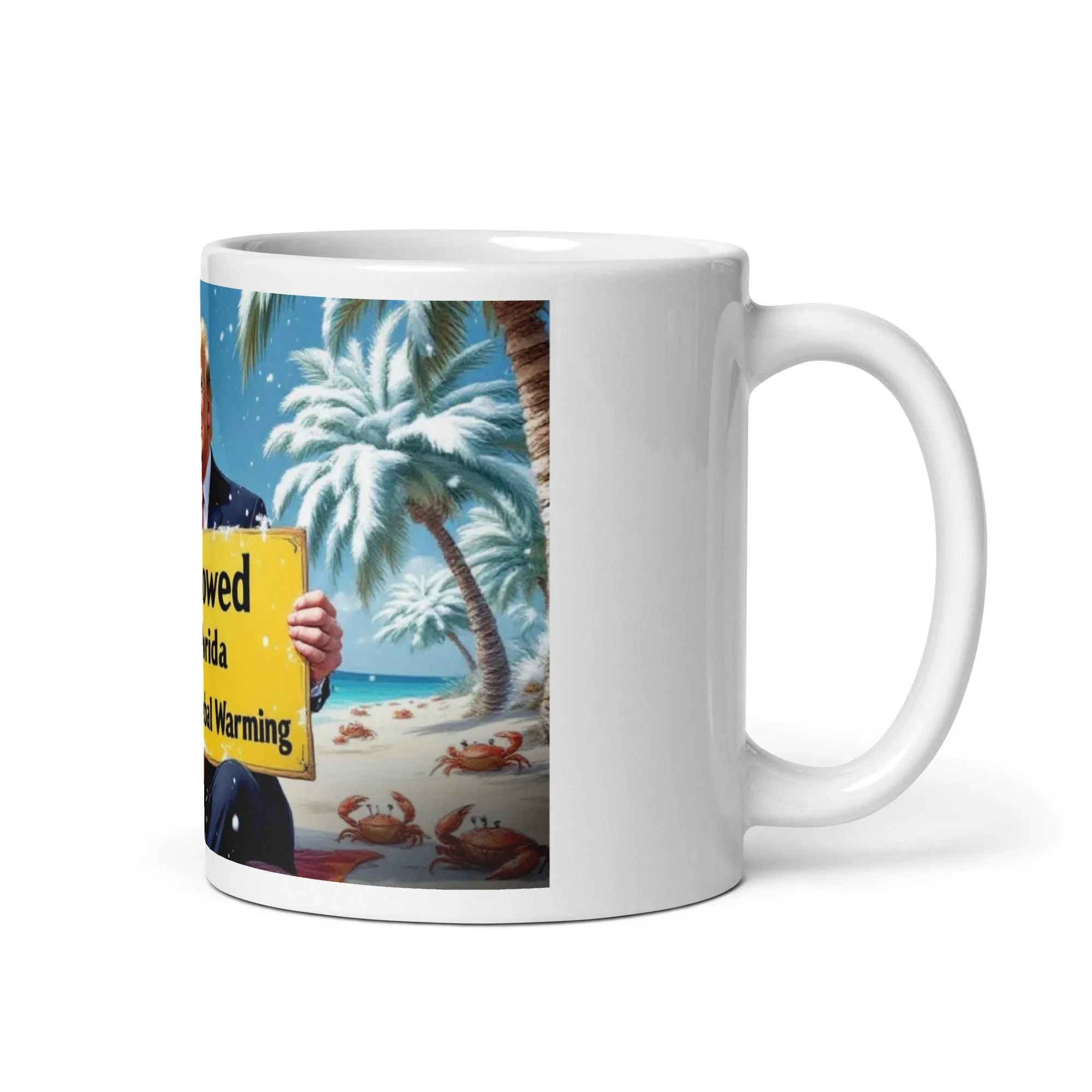 Snow In Florida | "I fixed Global Warming" Mug