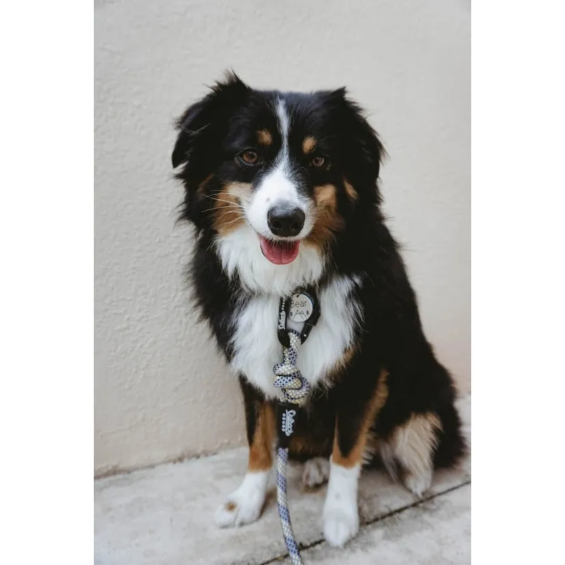 Sterling All-Terrain Dog Leash