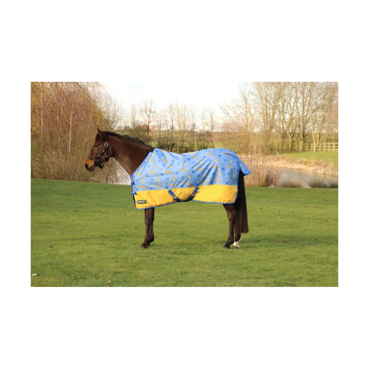 StormX Original 0 Turnout Rug