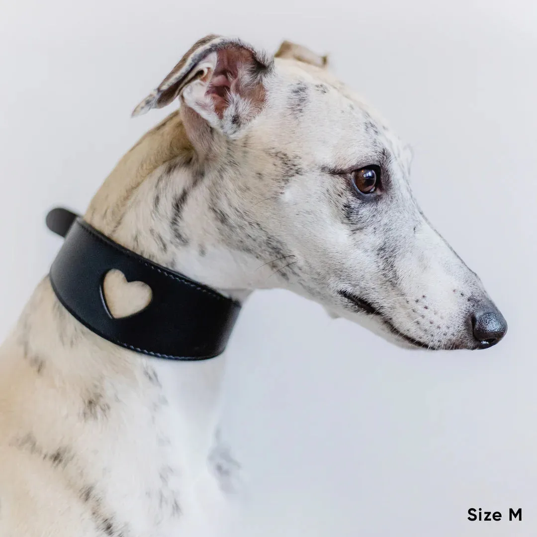 Sweetheart Dog Collar - Black