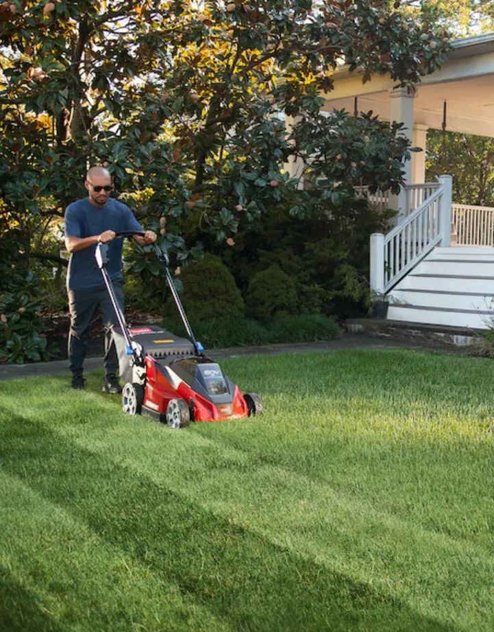 Toro 60V MAX* 21 in. Stripe Self-Propelled Mower - 5.0Ah 21620