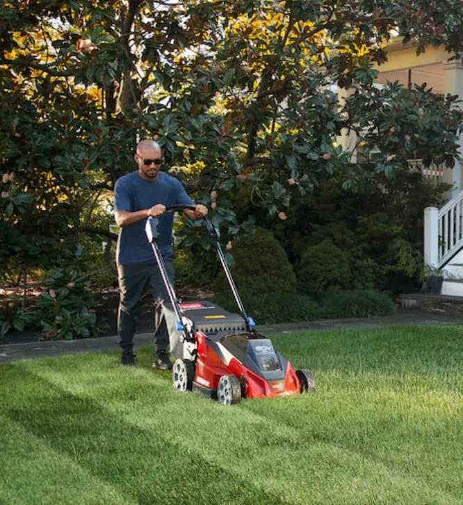 Toro 60V MAX* 21 in. Stripe Self-Propelled Mower - 6.0Ah 21621