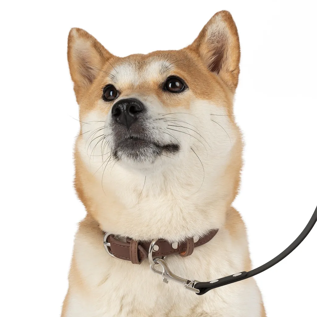 Turquoise Slab Dog Leash