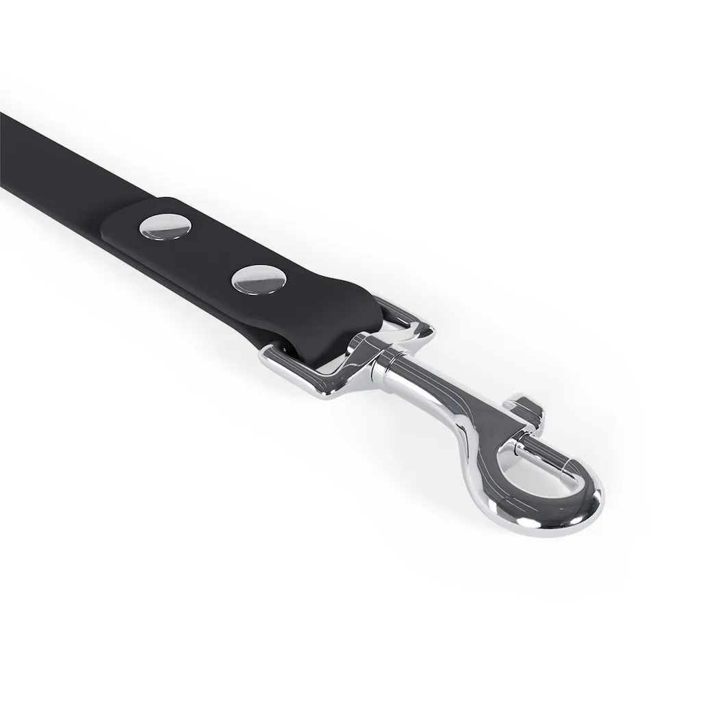 Turquoise Slab Dog Leash